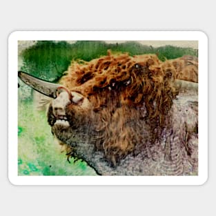 West Highland Bull 2 Sticker